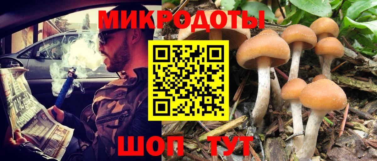 Псилоцибиновые грибы Psilocybine cubensis  Вход с VPN  Большой Камень  Галлюциногенные грибы Magic Shrooms 