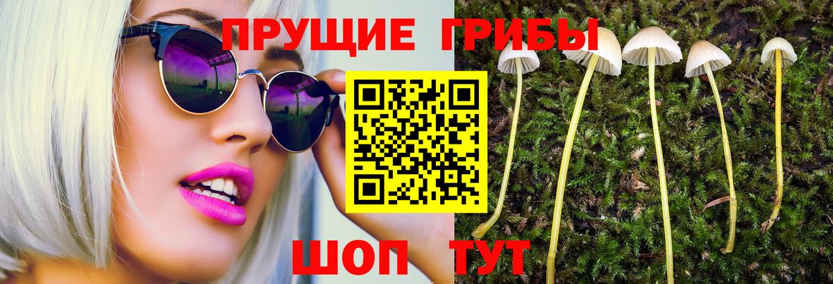 Псилоцибиновые грибы ЛСД Большой Камень